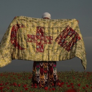 "Мой красный крест", 2013