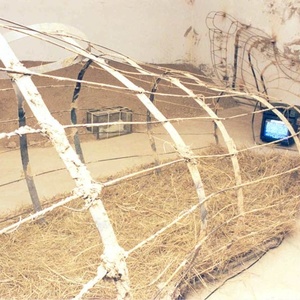 "Глиняный проект. Нулевой уровень", 1999-2000