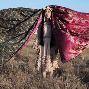 "Бабочки Айши Биби", 2010