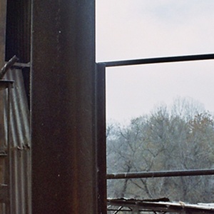 "Целующиеся тотемы", 2008