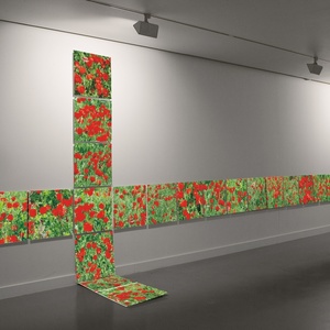 "Южный крест", 2009