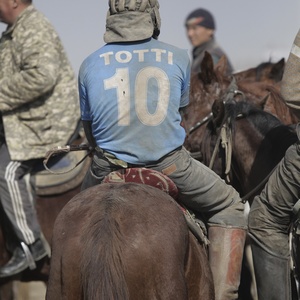 "Степные волки", 2014
