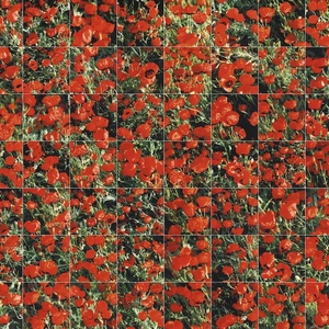 "Саван Чингис-хана", 2010