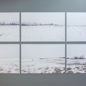 "Обратная сторона пейзажа", 2010