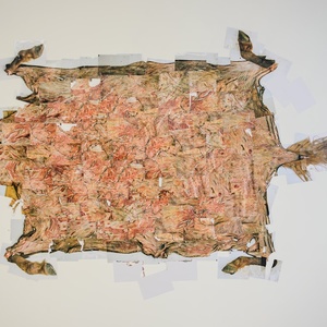 The Map of Genghis Khan or the Hide of the Red Horse, 2007 