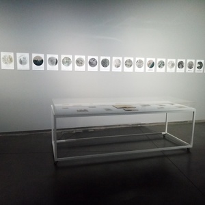 Geography of Memory, 2002-2018