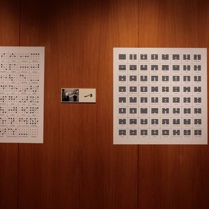 "Больше, чем мечты, меньше, чем вещи. Созвездие", 2015