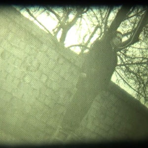 "Скорбящие", 2004