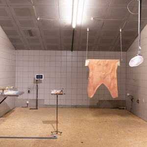 "Страх будущего", 2018