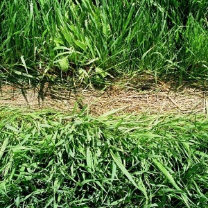 Quick Production of Autumn, 2001