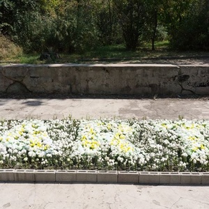 Art (The Immortals), 2016