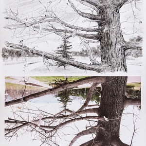 Park of the First President, 2010-2018