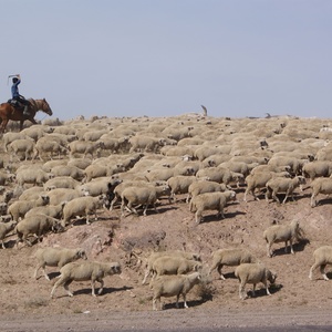 One of the Ways of Leveling of the Horizon, 2010