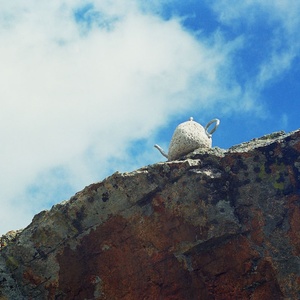 Teapot (from Petrifactions Series), 1995-2009