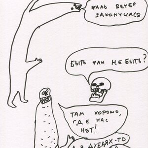 Марат Райымкулов