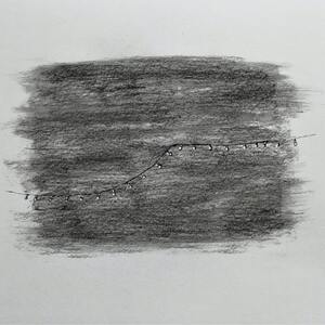 Yelena and Viktor Vorobyev