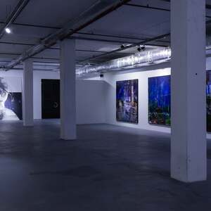 Installation view