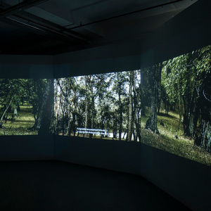 Вид экспозиции